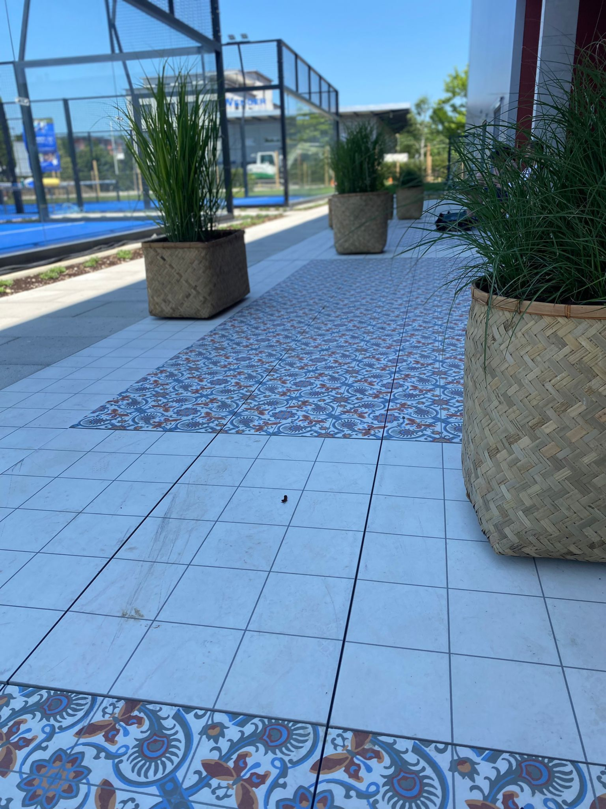 Loggia Pflanzen